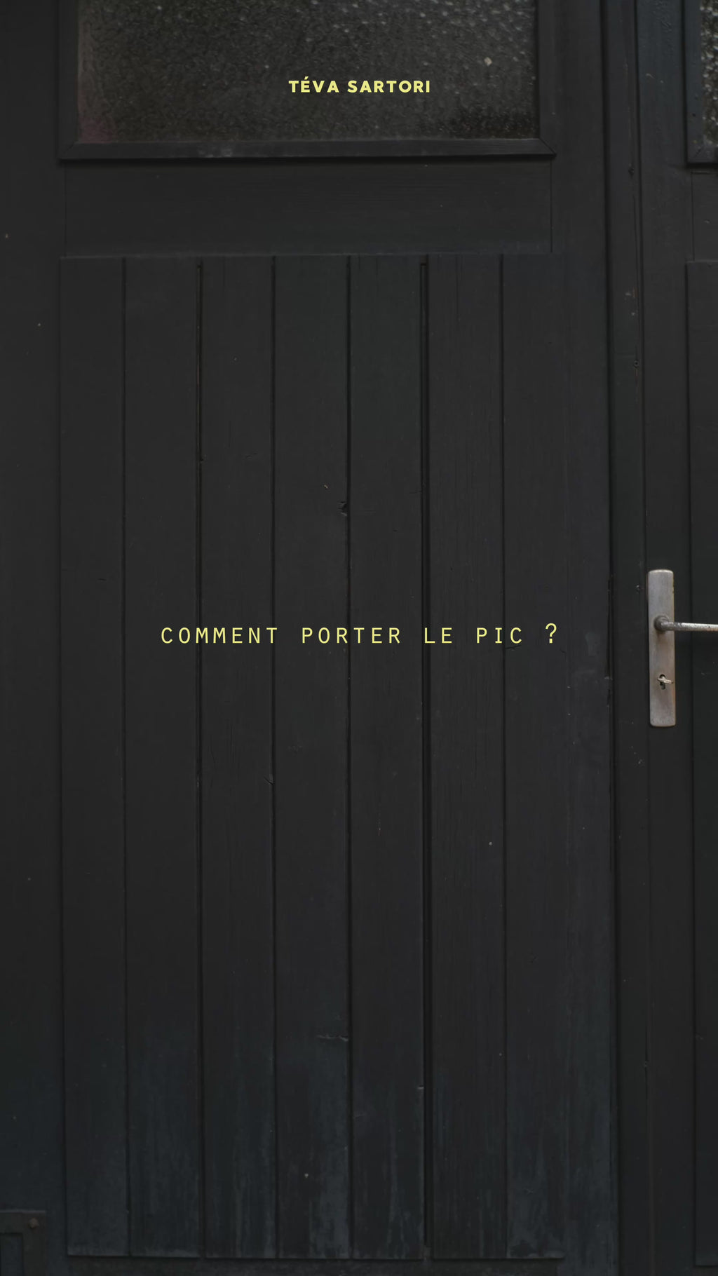 sac à main pic
