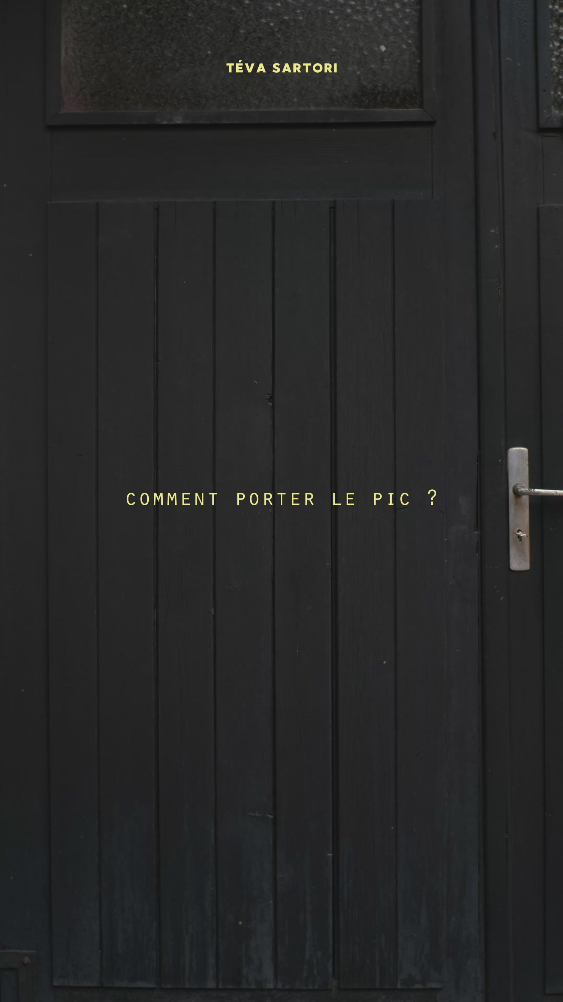 sac à main pic